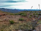 photo thumbnail #12