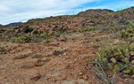 photo thumbnail #15