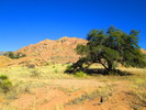 photo thumbnail #5