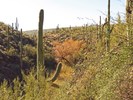 photo thumbnail #13