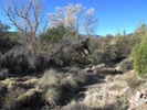 photo thumbnail #4