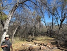 photo thumbnail #6