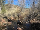 photo thumbnail #7