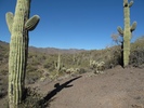 photo thumbnail #10
