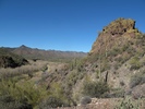 photo thumbnail #11