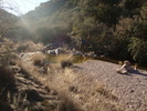 photo thumbnail #1