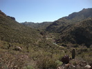 photo thumbnail #5