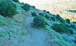 photo thumbnail #1