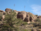 photo thumbnail #9