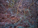 photo thumbnail #15