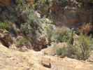 photo thumbnail #6
