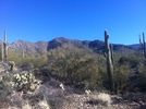 photo thumbnail #9
