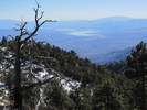 photo thumbnail #7