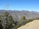 photo thumbnail #15