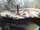 photo thumbnail #12