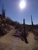 photo thumbnail #7