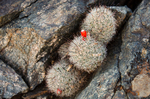 photo thumbnail #6