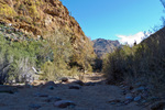 photo thumbnail #8