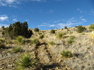 photo thumbnail #12