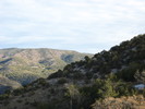 photo thumbnail #14