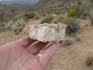photo thumbnail #2