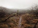 photo thumbnail #2