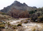 photo thumbnail #8