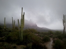photo thumbnail #3