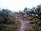 photo thumbnail #8