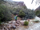 photo thumbnail #11