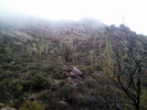 photo thumbnail #12