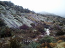 photo thumbnail #14