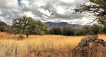 photo thumbnail #13