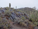 photo thumbnail #5