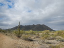 photo thumbnail #3
