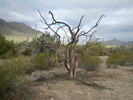 photo thumbnail #4