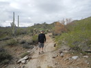 photo thumbnail #6