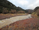 photo thumbnail #1