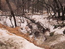photo thumbnail #10