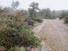 photo thumbnail #12