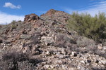 photo thumbnail #1