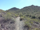 photo thumbnail #14
