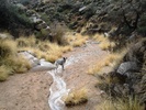 photo thumbnail #4
