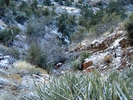 photo thumbnail #1