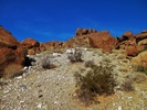 photo thumbnail #12