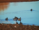 photo thumbnail #12
