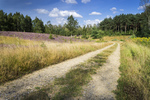 photo thumbnail #9
