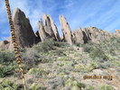 photo thumbnail #14