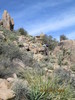 photo thumbnail #12