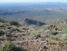 photo thumbnail #7